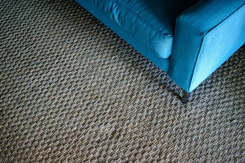 Can You Use a Walking Pad on Carpet?